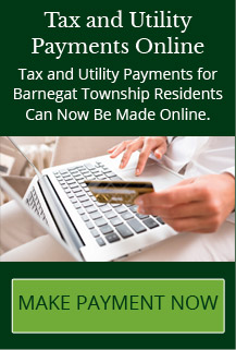 Tax and Utility Payments Online